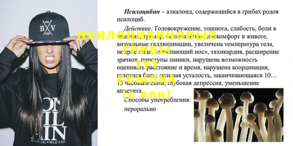 крисы Баксан