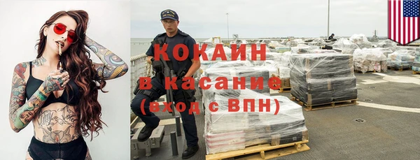 крисы Баксан