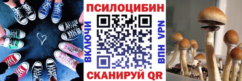 Псилоцибиновые грибы мицелий  Удачный 